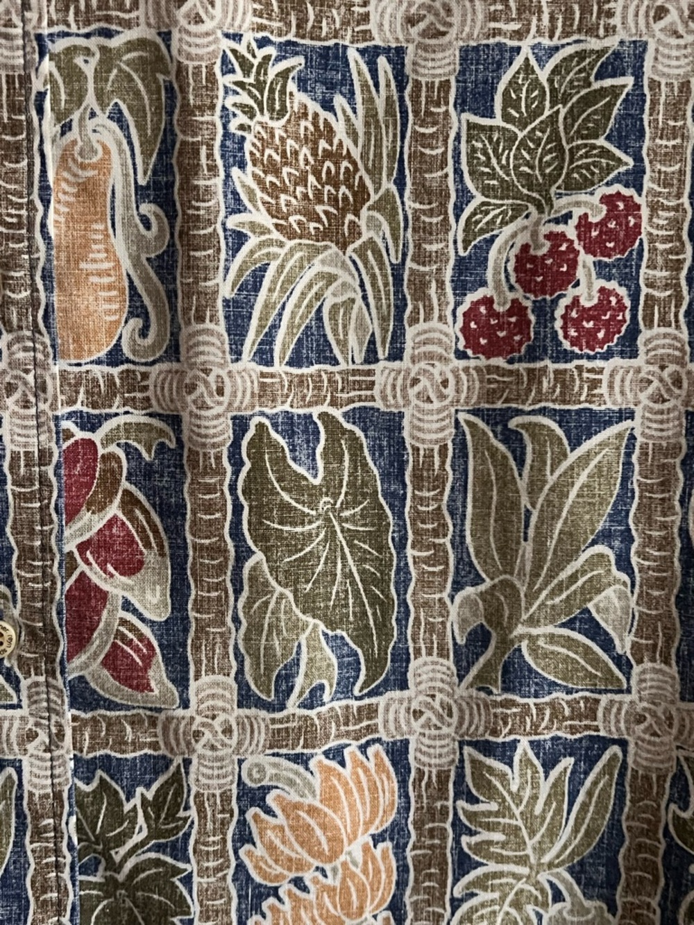 reyn spooner classic button-down Botanical Print